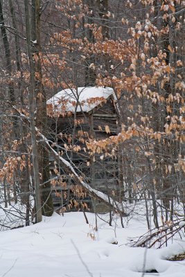 Outhouse deep in the woods!
