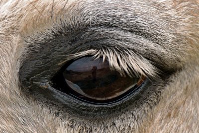I see you