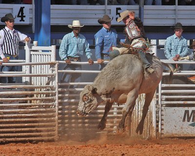 Bull Rider