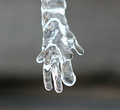 The frozen hand