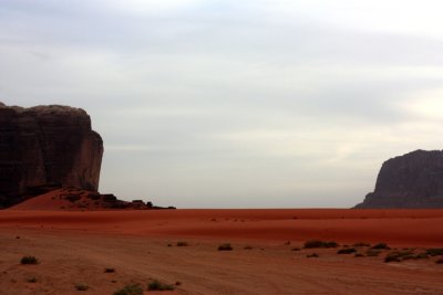Desert Expanse