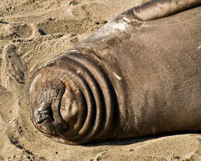 _DSC5548.jpg