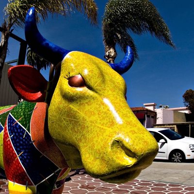 COW PARADE LA JOLLA