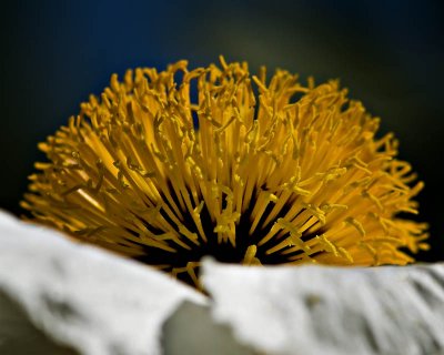 g1/95/41195/3/111621582.fH8Bd8jW.jpg