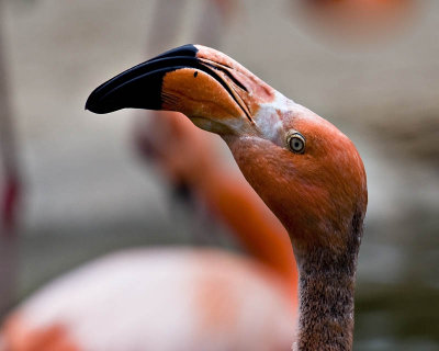 g1/95/41195/3/111900000.U3yBXB7M.jpg