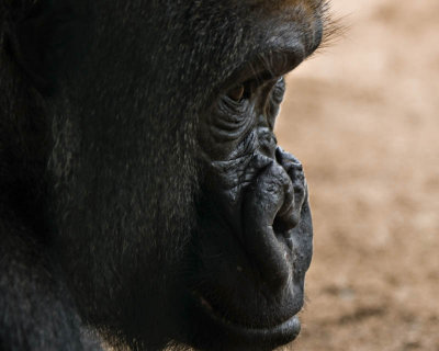 g1/95/41195/3/111900002.MtUCcq3s.jpg