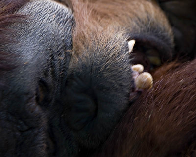 g1/95/41195/3/111900073.4px4Nz7y.jpg