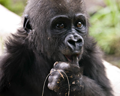 g1/95/41195/3/111900087.st7M8q1o.jpg