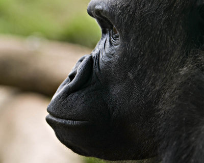 g1/95/41195/3/111900222.HQN0bPFp.jpg