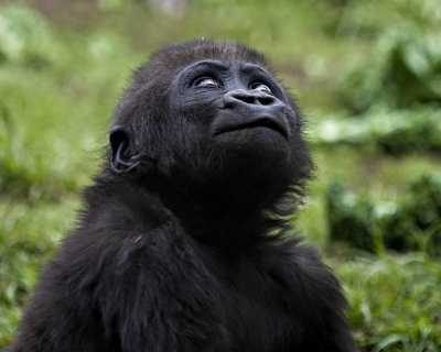 g1/95/41195/3/111900666.u9rklJ6M.jpg