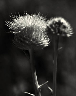 g1/95/41195/3/113167648.p0qI9nAh.jpg