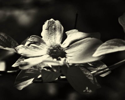 g1/95/41195/3/113167658.9nj7hqmS.jpg
