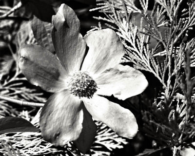 g1/95/41195/3/113167769.4ebh76ES.jpg