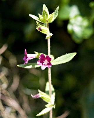 g1/95/41195/3/113293048.Fq5RF2IR.jpg