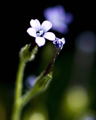 g1/95/41195/3/113293050.f3frkHcO.jpg