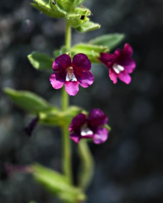 g1/95/41195/3/113293051.xxNiV0E7.jpg