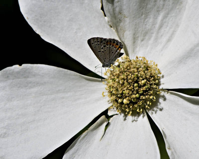 g1/95/41195/3/113293057.ThOmsjC0.jpg
