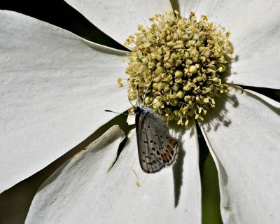 g1/95/41195/3/113293059.6R19JQk5.jpg