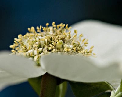 g1/95/41195/3/113293061.m4TJFnoR.jpg