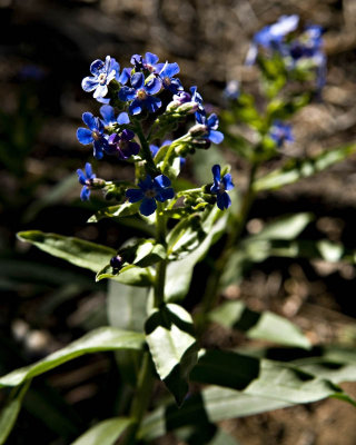 g1/95/41195/3/113293324.Boooihd0.jpg