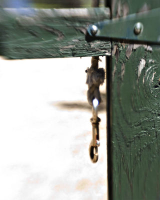 g1/95/41195/3/113311852.t2AuLqlz.jpg