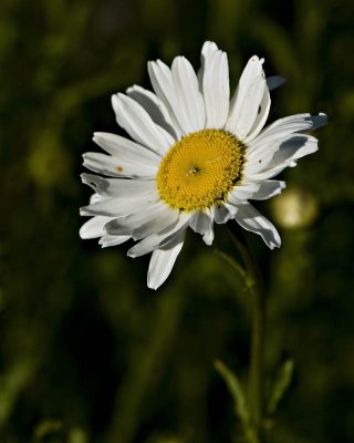 g1/95/41195/3/113312231.jq7FZ8g2.jpg