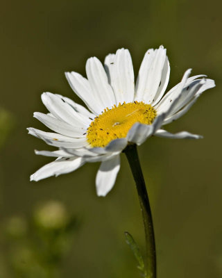g1/95/41195/3/113312235.MSjJCymz.jpg
