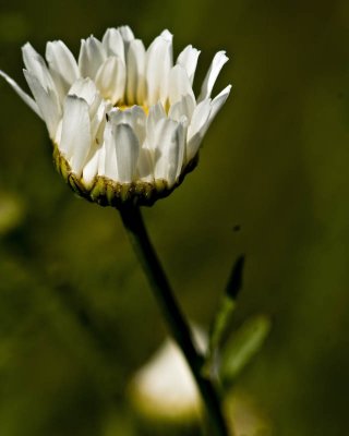 g1/95/41195/3/113312237.FwBCr0pU.jpg