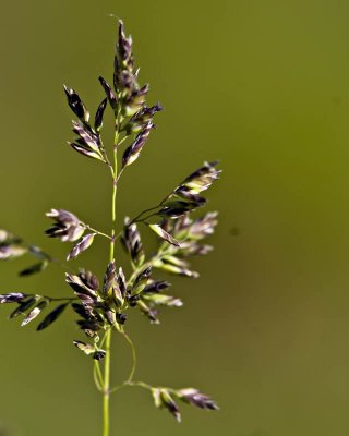 g1/95/41195/3/113312238.4bE9m4b6.jpg