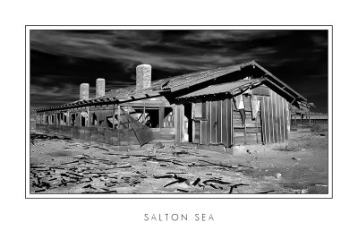 Salton Sea 2008