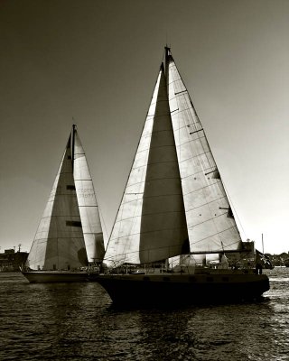 BEER CAN REGATTAS 2009