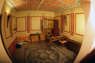 Fisheye F-Distagon 16 mm