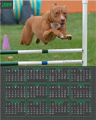 Phalon 2009 calendar