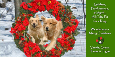 Cole holiday card