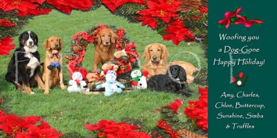 Koebler holiday card