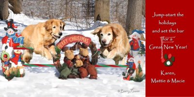 Canzoneri holiday card
