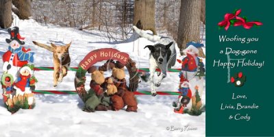Jimenez holiday card