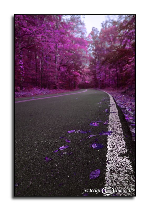 Walk on the Wild Side<br>October 9