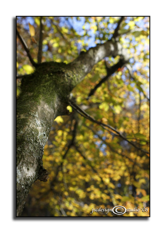Under Cover<br>October 31