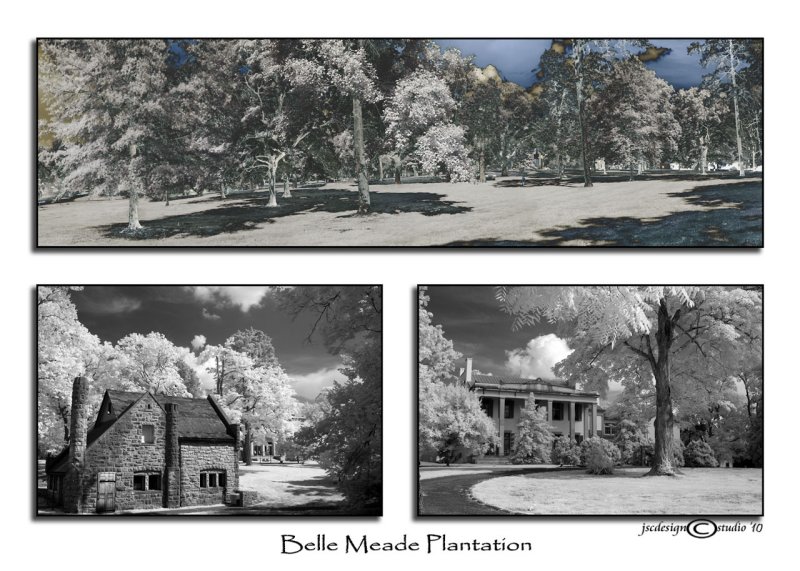 176<br>Belle Meade