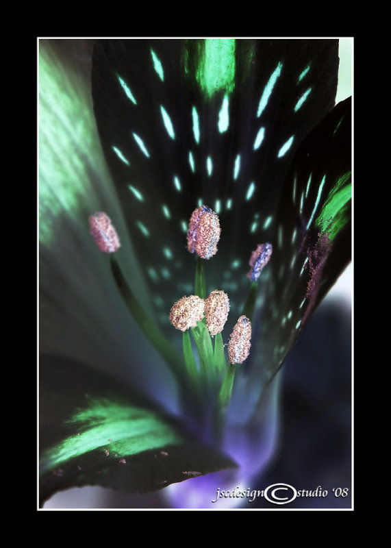CHALLENGE:<i>Inverted</i><br>February 7