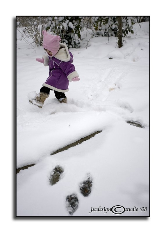 Snow Day II