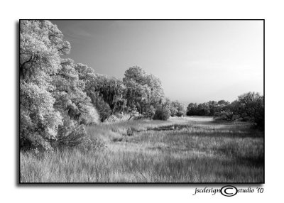 192Tybee in IR XII