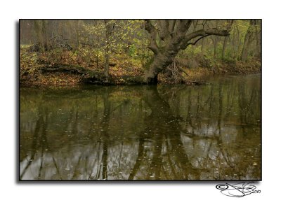 Brush Creek