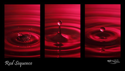 Red Sequence