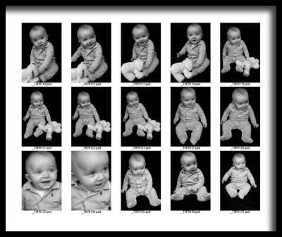 ContactSheet-002_Web.jpg