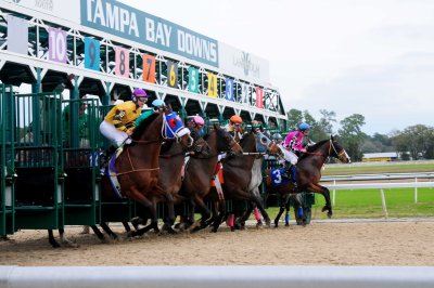 Another-Starting-Gate.jpg