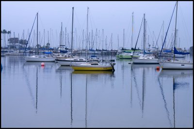 Foggy-morn-in-the-harbor.jpg