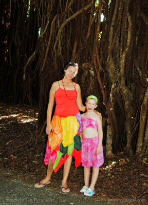 A giant banyan tree, Aitutaki