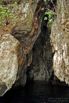 Swallow Cave, Vava'u Group, Tonga